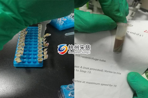 <a href=http://m.pzbyyx.com/prouduct/lengdong/ target=_blank class=infotextkey>冷凍研磨儀</a>